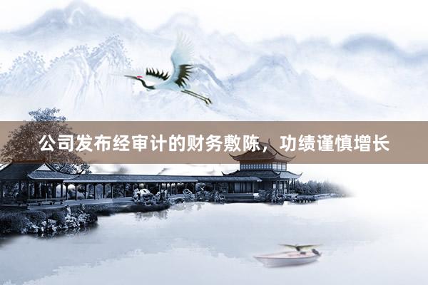 公司发布经审计的财务敷陈，功绩谨慎增长