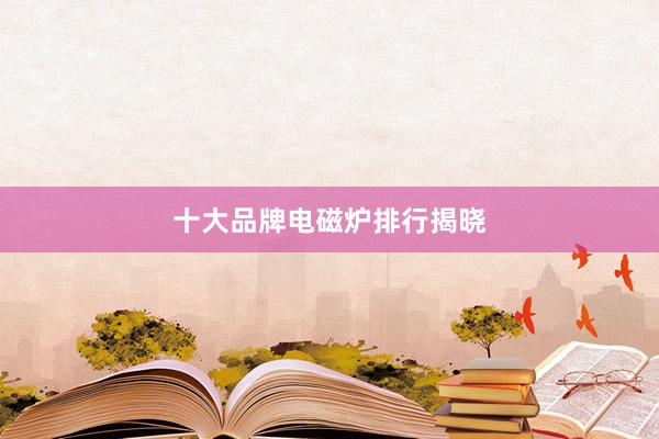 十大品牌电磁炉排行揭晓